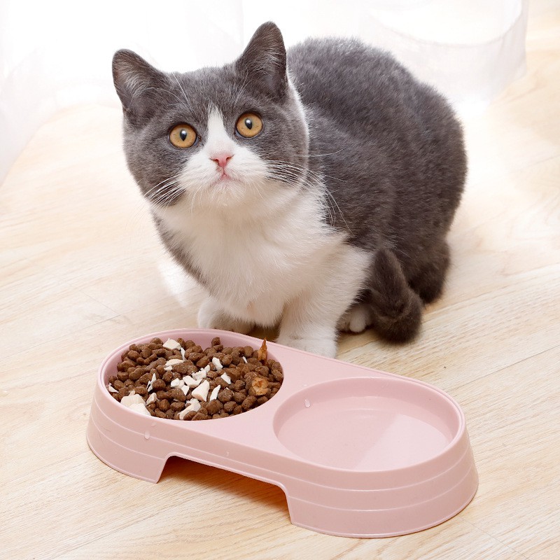 Bát đôi đựng thức ăn và nước uống cho mèo, đế chống trượt cao cấp