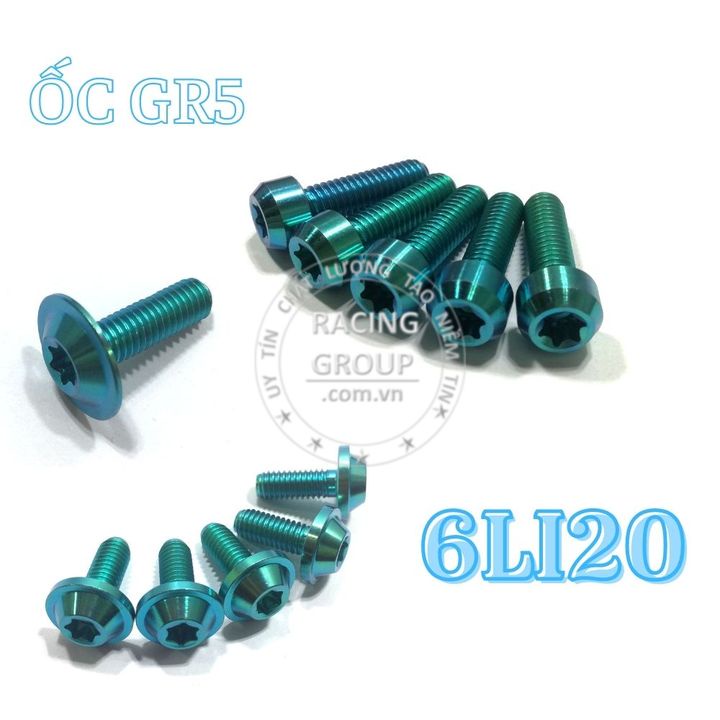 Ốc 6li20 GR5 Đầu dù, Đầu dẹt âm, đầu trụ gắn áo các loại xe và nhiều vị trí khác cũng kích thước (giá 1 con)