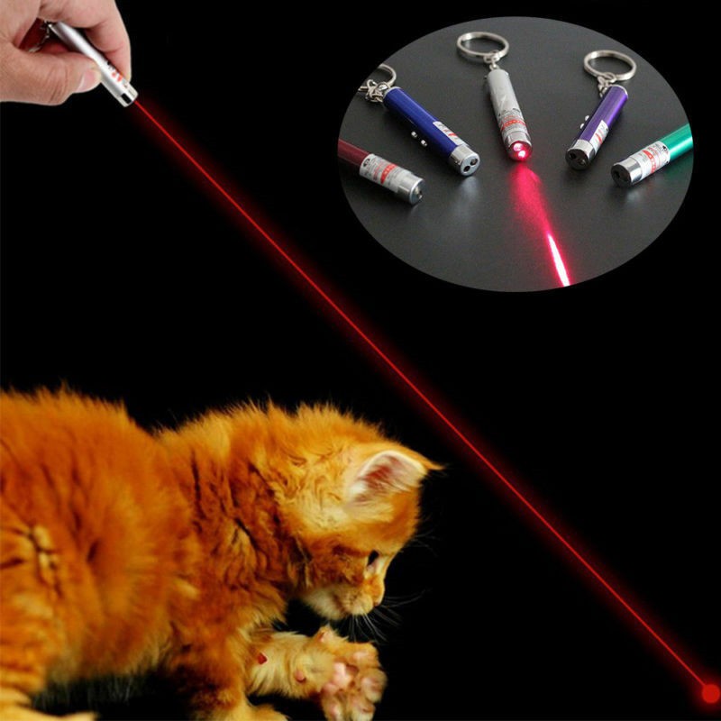 Bút Laser,đồ Chơi Yêu Thích Của Mèo Pointer đồ chơi đèn laser