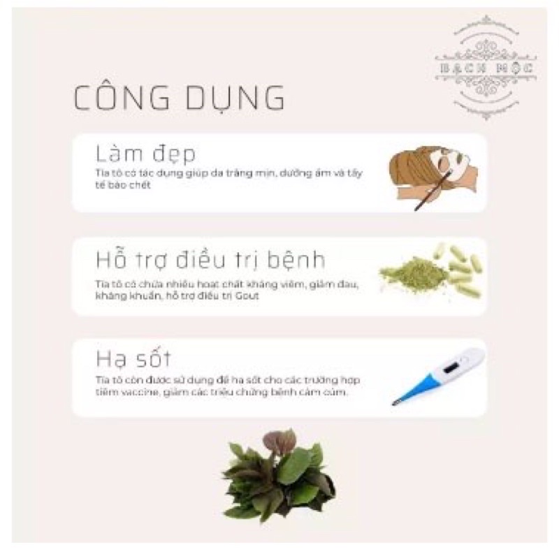 500gr Bột tía tô nguyên chất sấy lạnh uống và đắp mặt