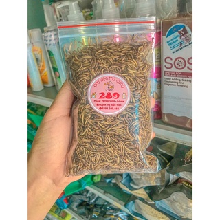 Sâu khô/sâu dinh dưỡng cho hamter