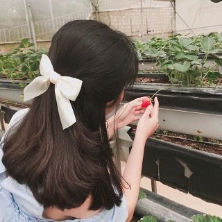 Kẹp tóc nơ - cột tóc hình nơ Hàn Quốc đơn giản