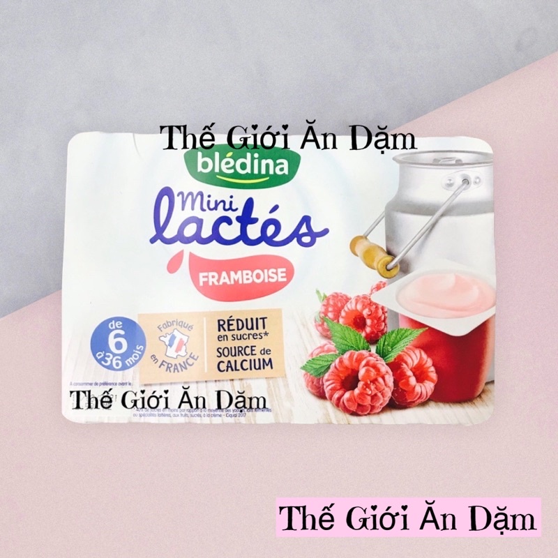 Sữa Chua Bledina Pháp 6m+ (Thế Giới Ăn Dặm)