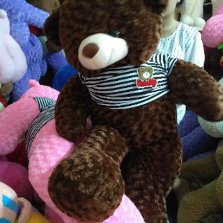 Gấu bông teddy