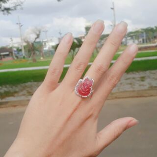 NHẪN HỒ LY RUBY