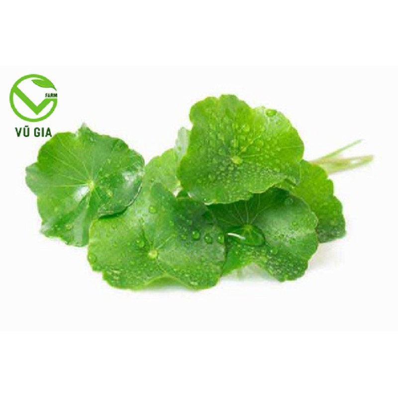 Combo Mật Ong Hoa Cà Phê 420g + Bột Rau Má Sấy Lạnh 50g - Nguyên Chất Vũ Gia
