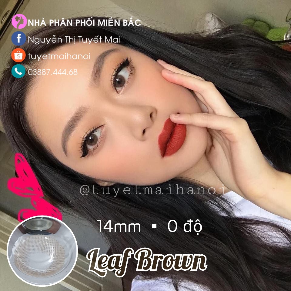 Leaf Brown 14mm 0 Độ - Lens Nâu Tây - Kính Áp Tròng Vassen Hàn Quốc