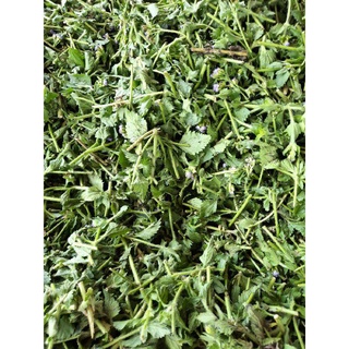 CỎ NGŨ SẮC ( CỨC LỢN) 100 gr