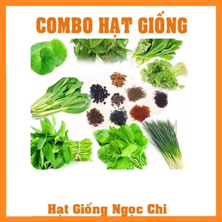 Combo các loại hạt giống rau hoa [Tự chọn]