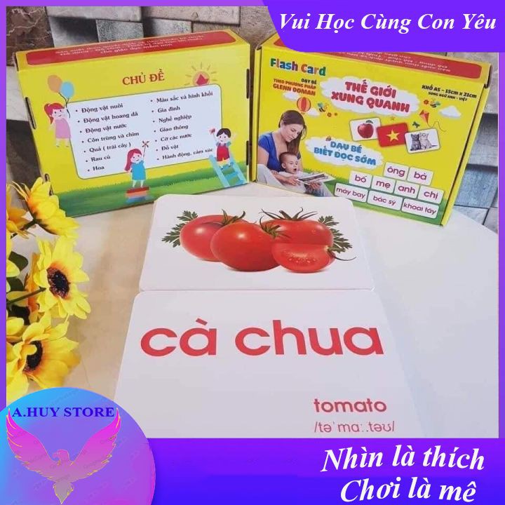 Dạy Học Cho Bé  Bộ Thẻ Flashcards khổ A5 (size to nhất)