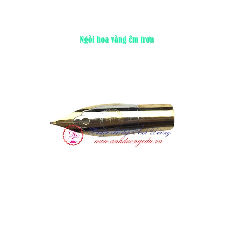 Ngòi luyện chữ đẹp Ngòi hoa vàng thanh đậm