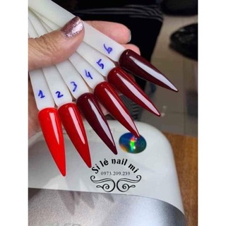 Set sơn đỏ 6 chai
