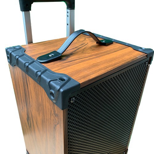 Loa kéo TEMEISHENG A8-42 - tặng kèm 2 mic không dây