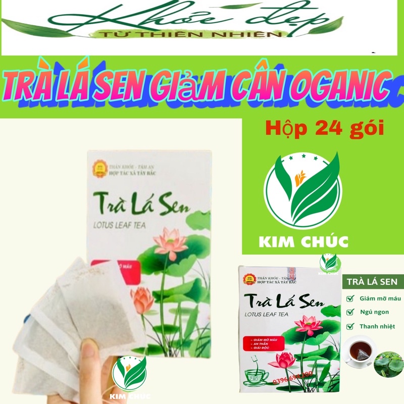 trà giảm cân lá sen cỏ ngọt