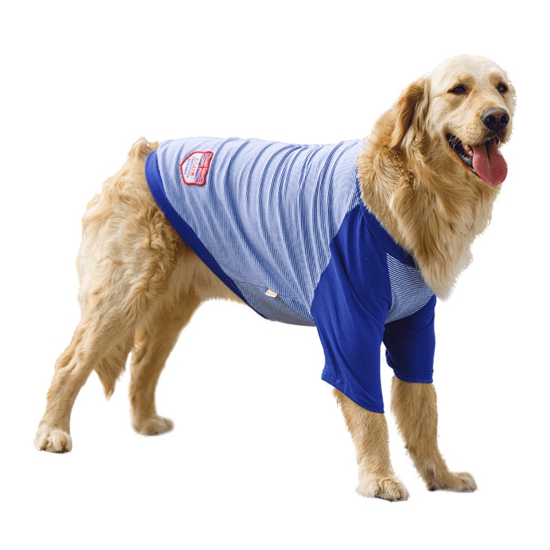 Áo mặc mùa hè thoáng khí cho thú cưng