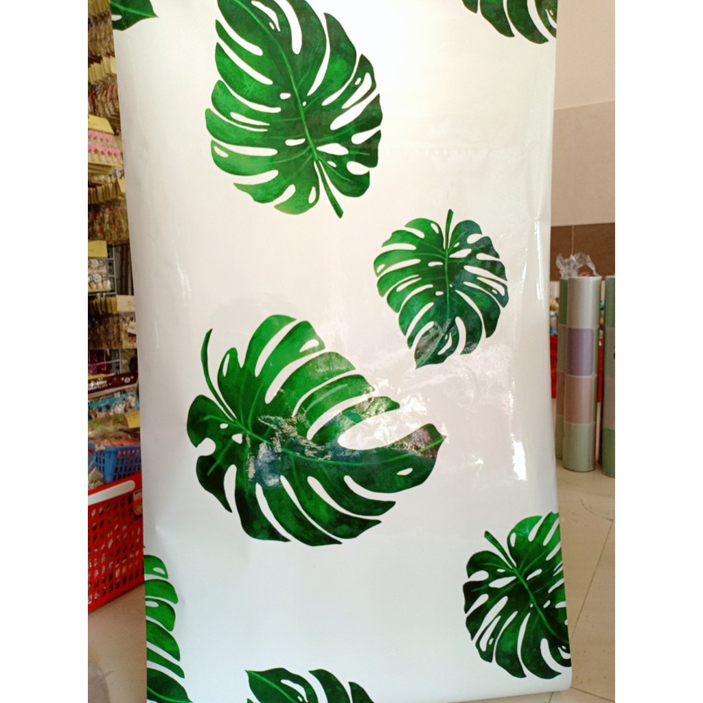 DECAL 1M dán bếp tráng nhôm cách nhiệt khổ 60CM - LÁ XANH KHỔNG LỒ OKK020