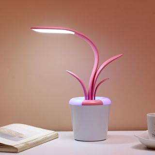 Đèn học cao cấp siêu cute
