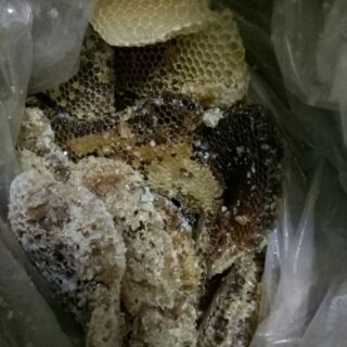1 lít mật ong hoa nhãn