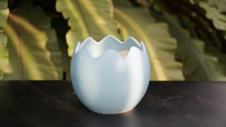 Chậu trứng 11x11cm - Vườn sen đá