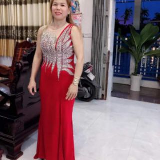 Đầm trung nien cao cap