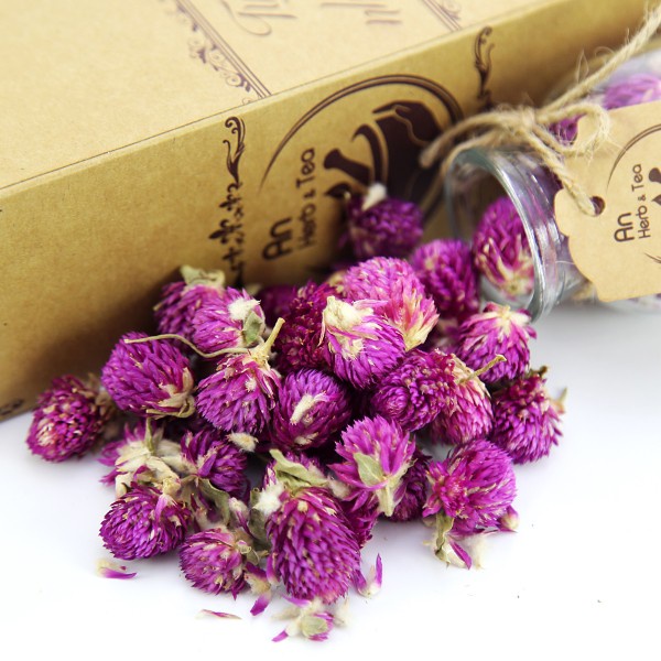 Hạt giống hoa cúc bách nhật