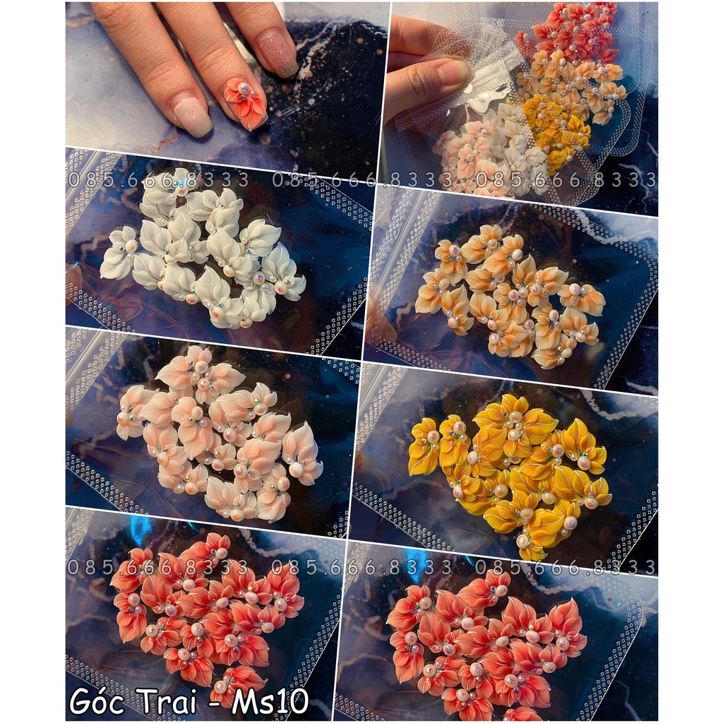 hoa bột nail - hoa góc tay