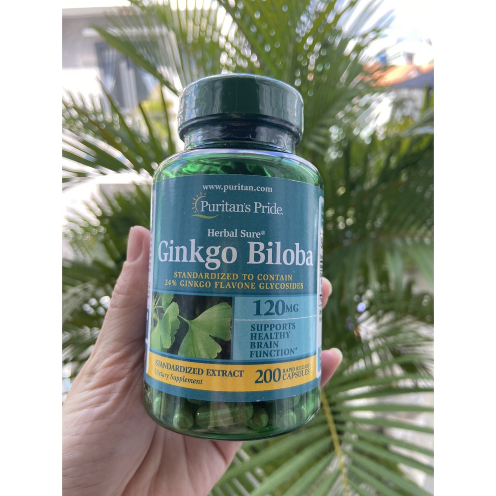 Viên uống hỗ trợ tuần hoàn não Puritan's Pride Premium Herbal Sure Ginkgo Biloba Standardized Extract 120 mg | Thế Giới Skin Care