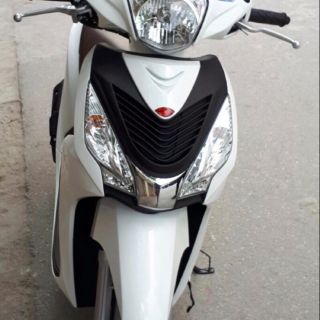 Mặt nạ xe Vision