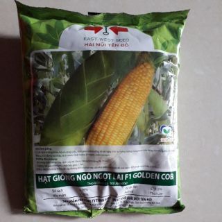 100gram Hạt giống ngô ngọt