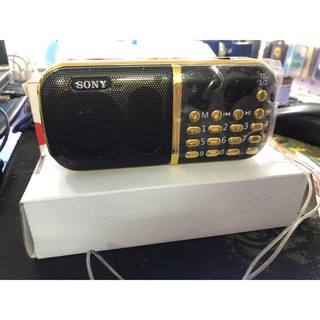 Loa Pháp Thoại Đài sony SM-123