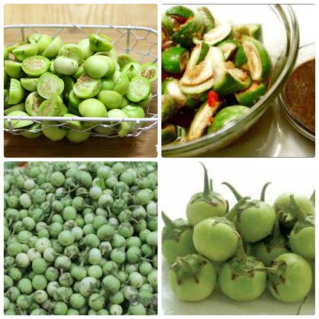 Hạt giống Cà Pháo Xanh cao sản