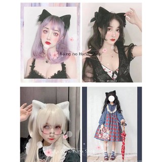 CAT EARS LOLITa