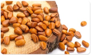 Hạt Thông dalat 500gr