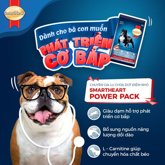 Thức ăn khô cho giống cơ bắp 3kg SmartHeart Power Pack chó con/chó lớn