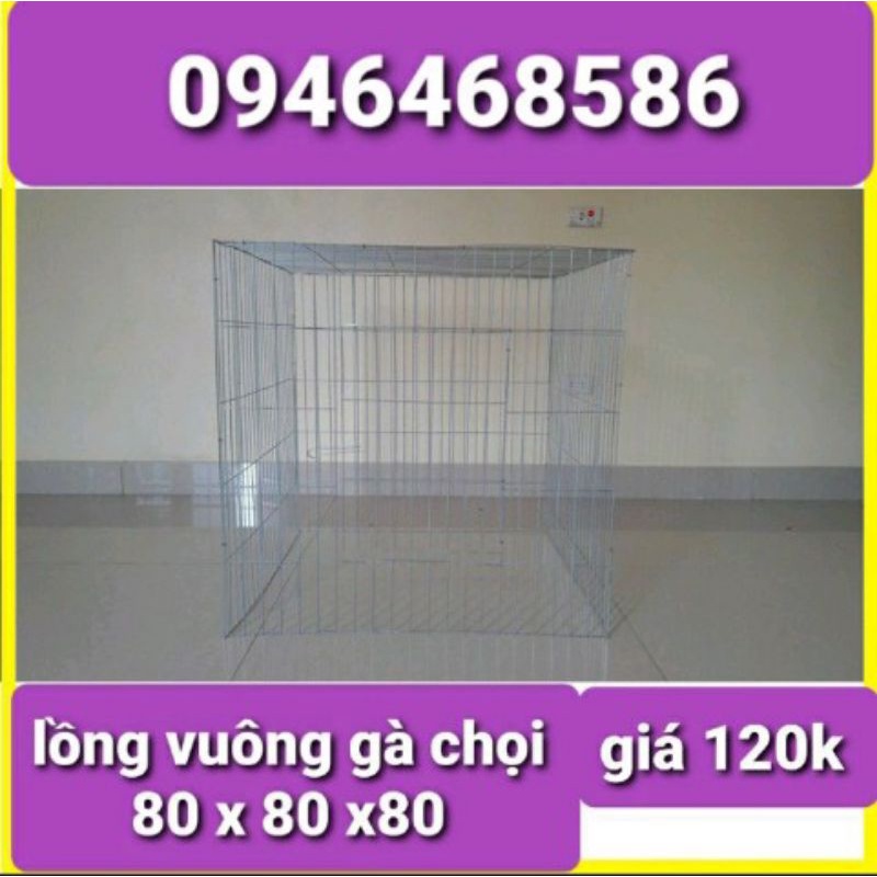 Lồng vuông gà chọi 80x80x80