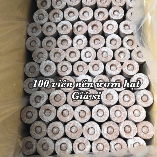 100 viên nén xơ dừa viên nén ươm hạt loại 60-65mm giá sỉ