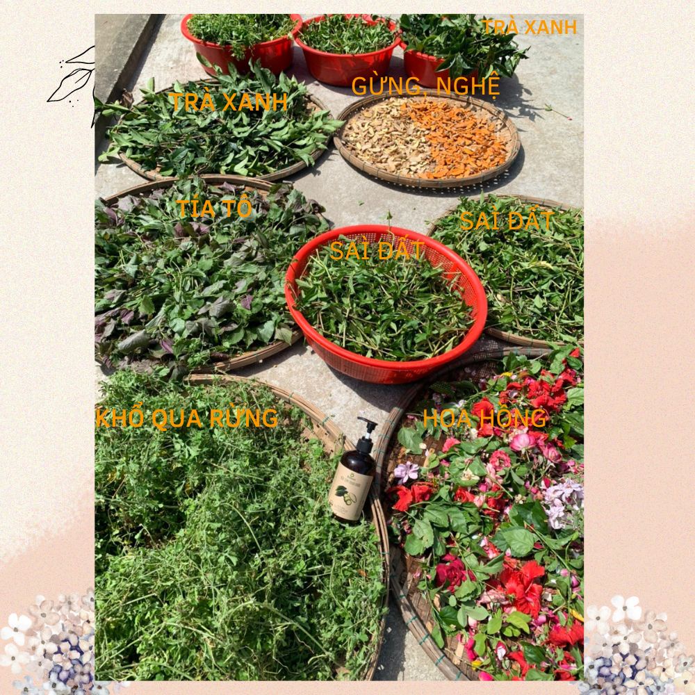 Sữa tắm thảo dược KHỔ QUA RỪNG Boboon ngăn ngừa mụn lưng, hết viêm nang lông, sáng da, mờ thâm