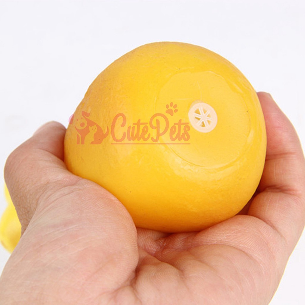 Đồ chơi đùi gà chút chít dành cho chó - CutePets Phụ kiện thú cưng Pet shop Hà Nội