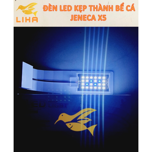Đèn Led Kẹp Bể Cá Jeneca X5 (10W) Cho Bể 20-30cm - Đèn Led Kẹp Thành Bể