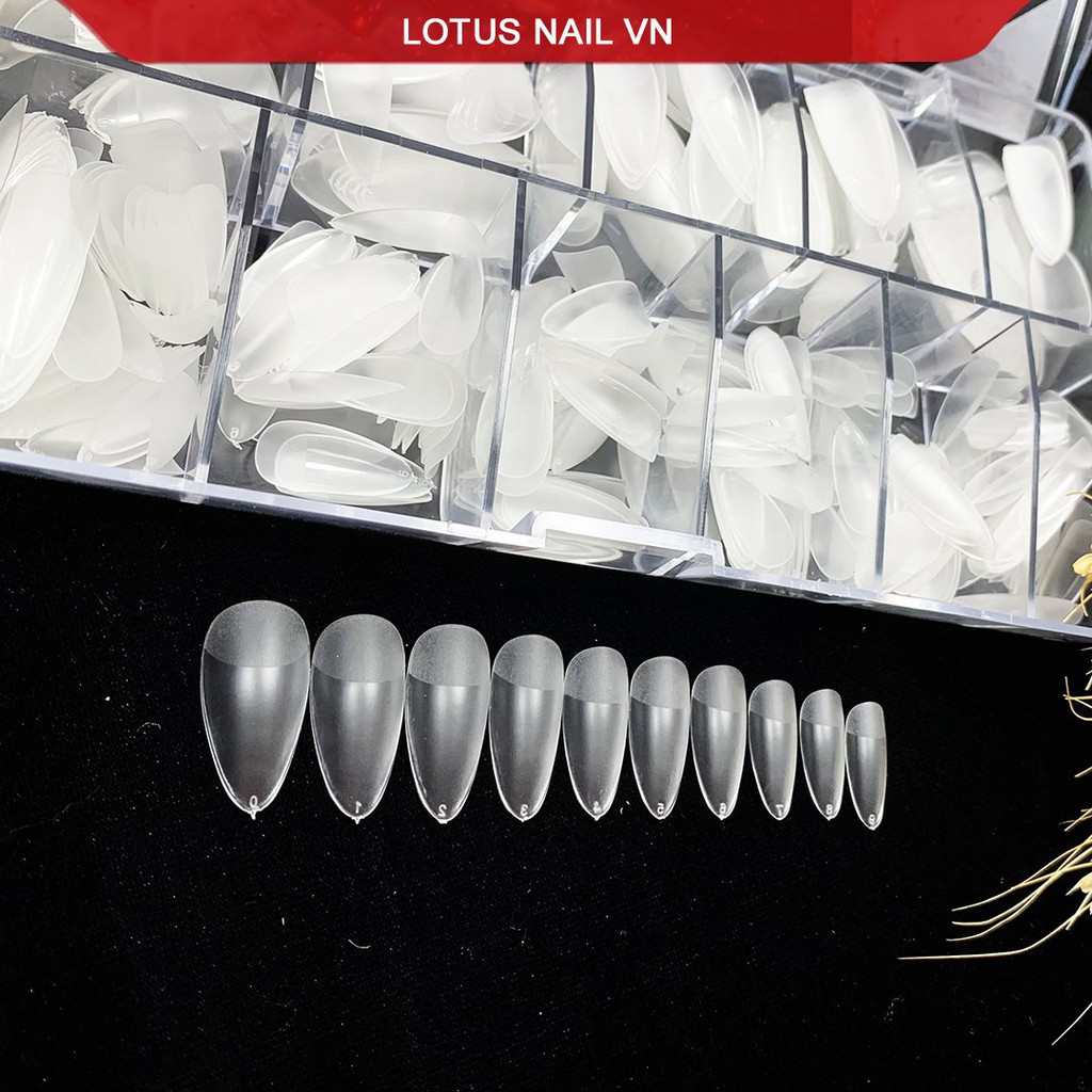 Móng úp nhọn ngắn nhám sẵn Lotus đủ size từ 0-9