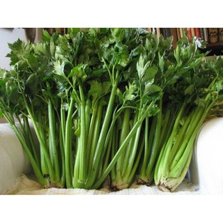 Hạt Giống Cần Tây