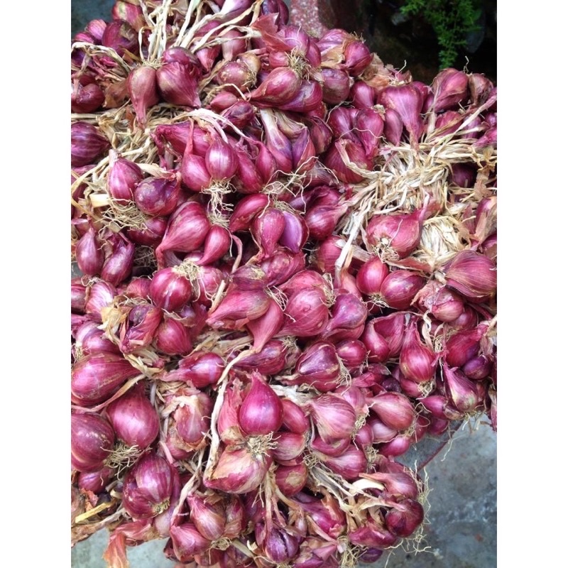 Hành tím khô Đà Lạt 500g & 1kg - Ship Hỏa Tốc