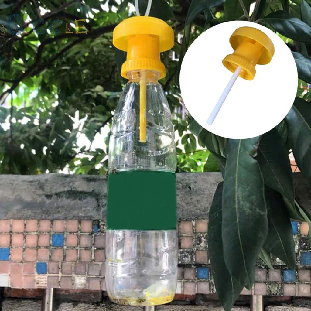 Bẫy Bắt Ruồi Côn Trùng Bằng Nhựa Màu Vàng