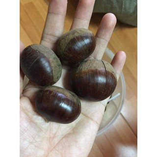 1kg dẻ tươi trùng khánh