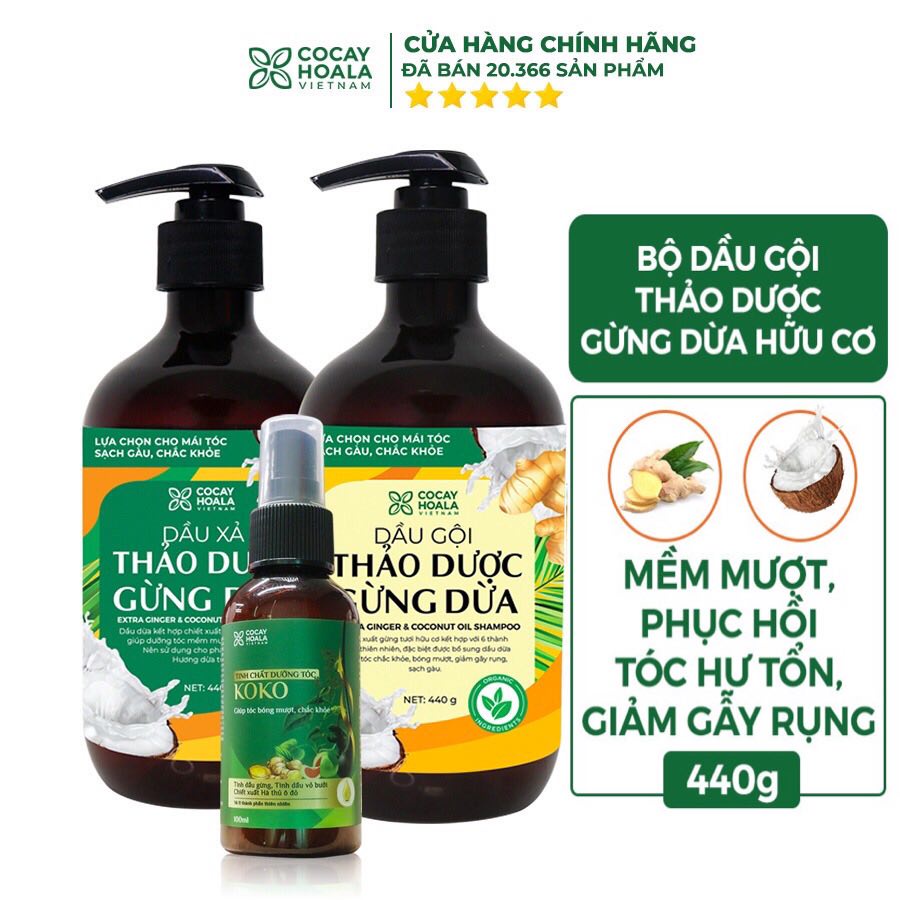Bộ dầu gội thảo dược gừng dừa Cocayhoala đánh bay gàu giảm ngứa 440g/chai