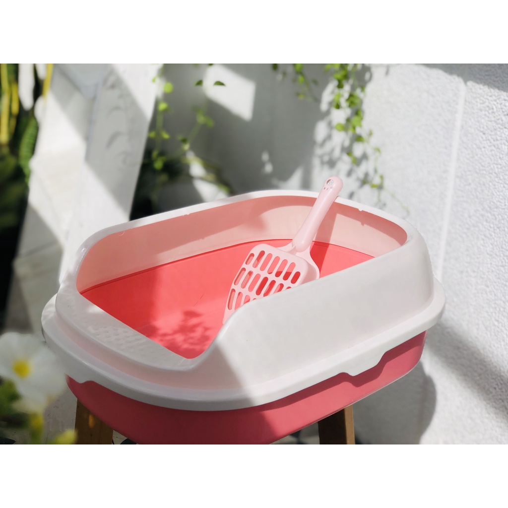 Khay và bồn vệ sinh cho mèo chậu đựng cát cho thú cưng màu sắc dễ thương