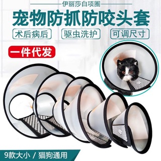 Nón chống liếm thú cưng