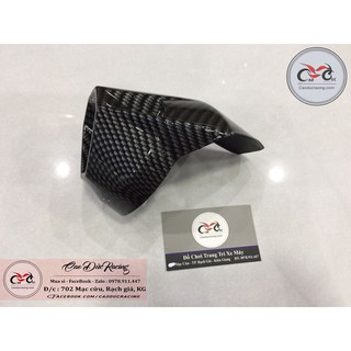 Sỉ Chụp pô Winner 150 Sơn cực đẹp