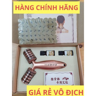 Cây lăn ngải cứu đồng đôi + ngải cứu