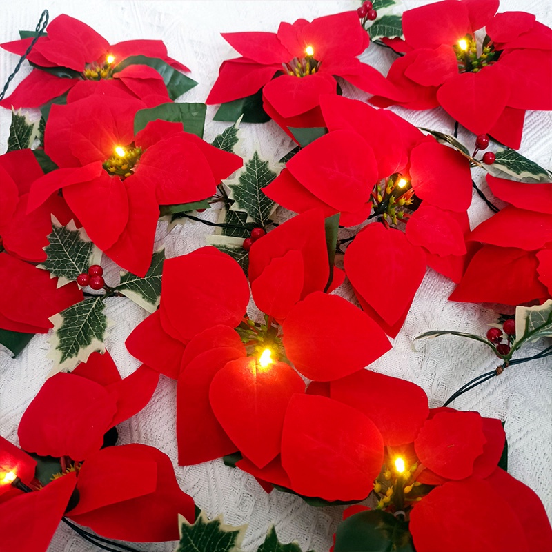 Dây Đèn Led 2m 10 Bóng Hình Hoa Poinsettia Độc Đáo Trang Trí Giáng Sinh